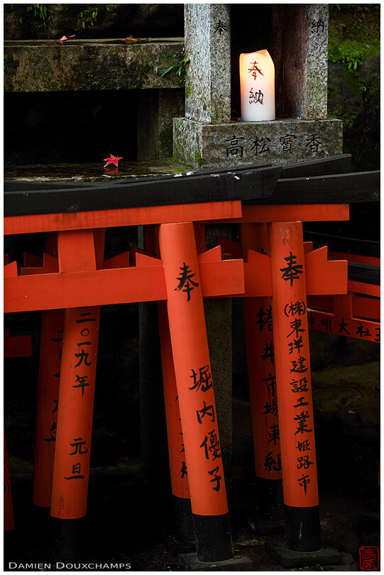 Miniature torii gates in Goshanotaki shrine, Kyoto, Japan