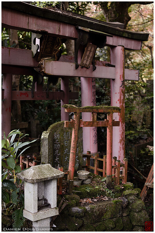 Old derelict torii gates in the abandoned Fushikura Daijin shrine, Kyoto, Japan