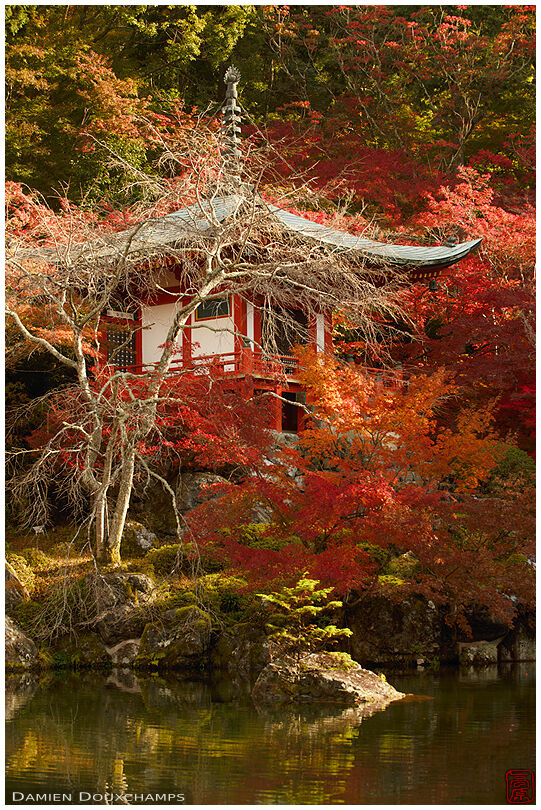 Autumn colors around the Bentendo hall of Daigo-ji temple, Kyoto, Japan
