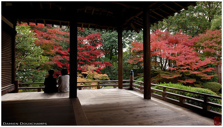 Couple looking at autumn colours from Zuishin-in temple main terrace, Kyoto, Japan