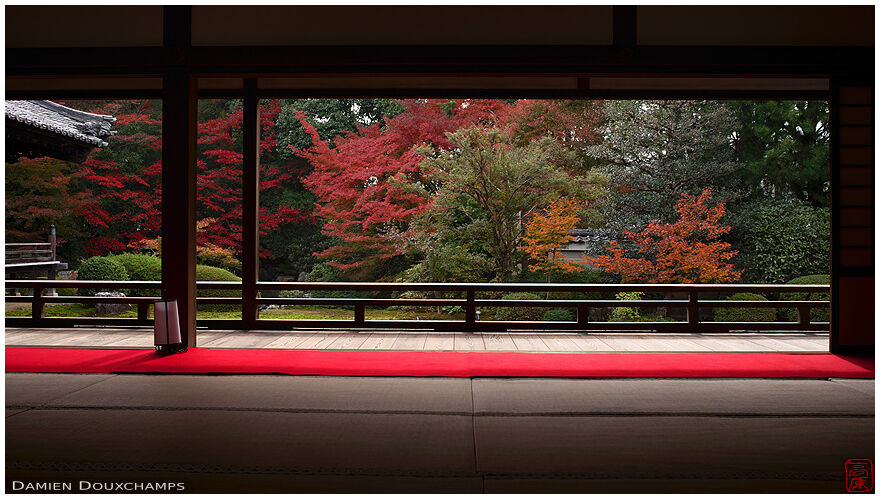 Autumn colors from the main hall of Zuishin-in temple, Kyoto, Japan