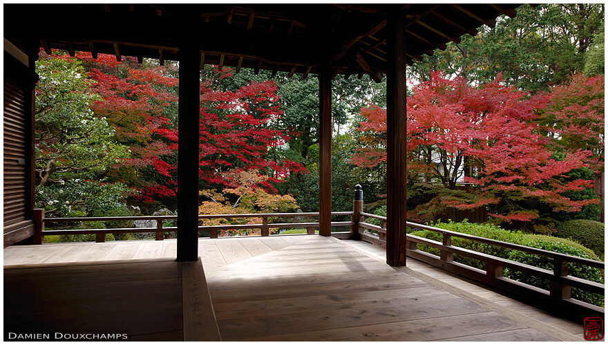 Wide wooden terrace with view on autumn colours in Zuishin-in temple gardens, Kyoto, Japan
