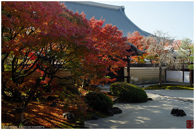 Autumn foliage and rock garden, Myoken-ji temple, Kyoto, Japan