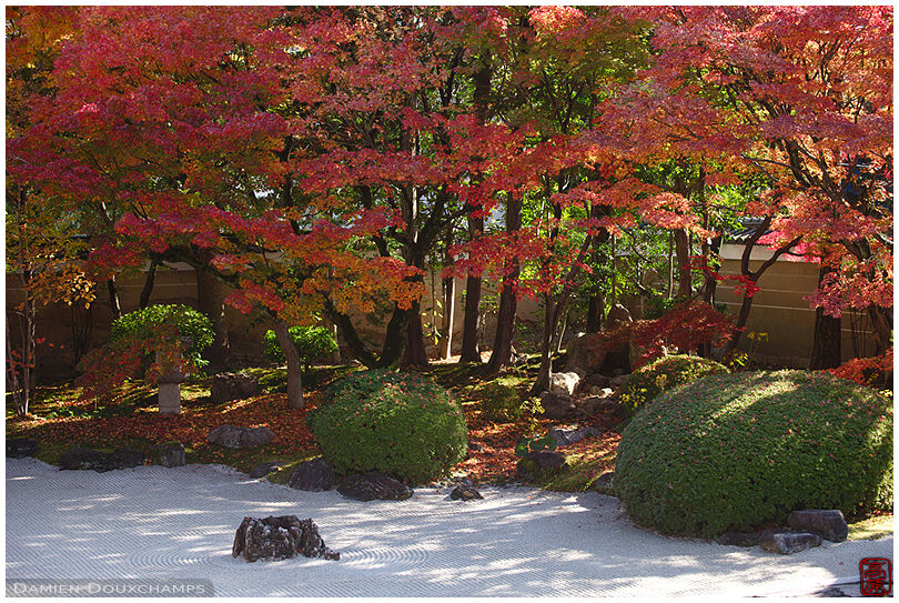 Sunny autumn day in the dry landscape garden of Myoken-ji temple, Kyoto, Japan