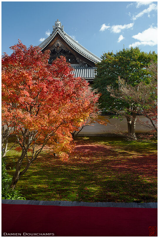 Sunny autumn day in Myokaku-ji temple, Kyoto, Japan
