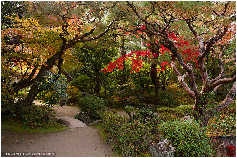 Early autumn colours in the garden of Heian-jingu shrine, Kyoto, Japan
