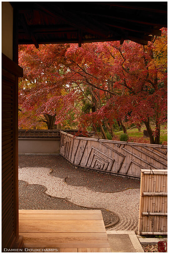 Bamboo fence around rock garden with autumn foliage, Ryogin-an temple, Kyoto, Japan