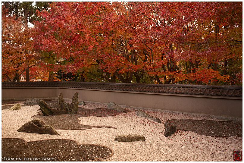 Rock garden and autumn colours, Ryogin-an temple, Kyoto, Japan
