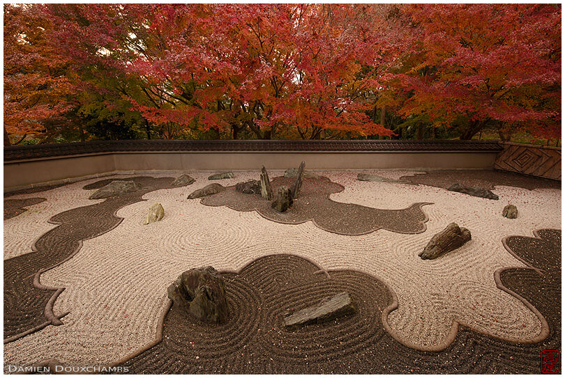 Rock garden in autumn representing a dragon in the clouds, Ryogin-an temple, Kyoto, Japan