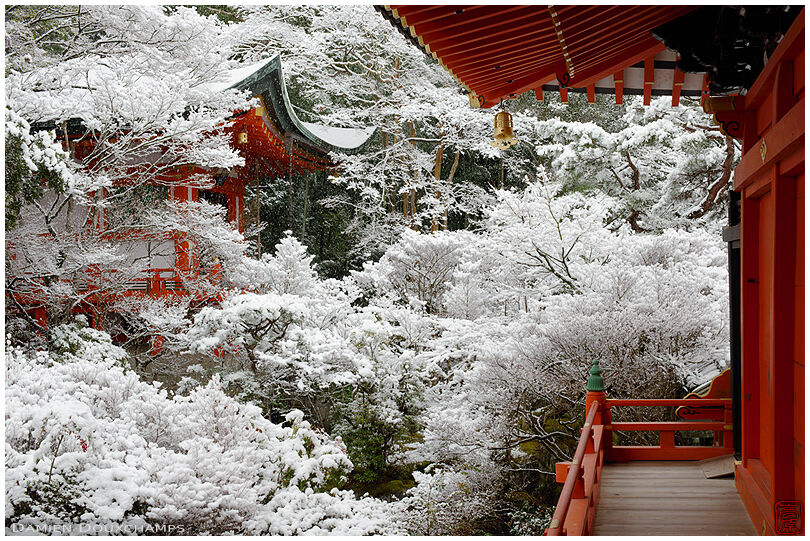 Show covered forest and orange temple buildings in Bishamon-do, Kyoto, Japan
