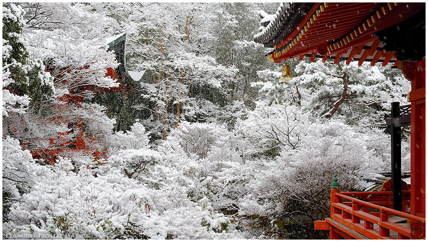 Red temple buildings emerging from snow covered white forest in Bishamon-do, Kyoto, Japan