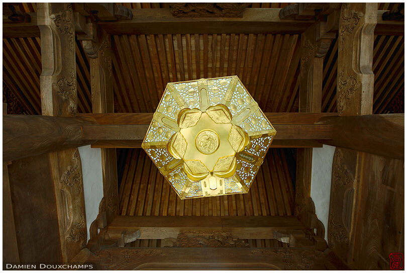 Under temple gate and its large golden lantern, Honkoku-ji, Kyoto, Japan