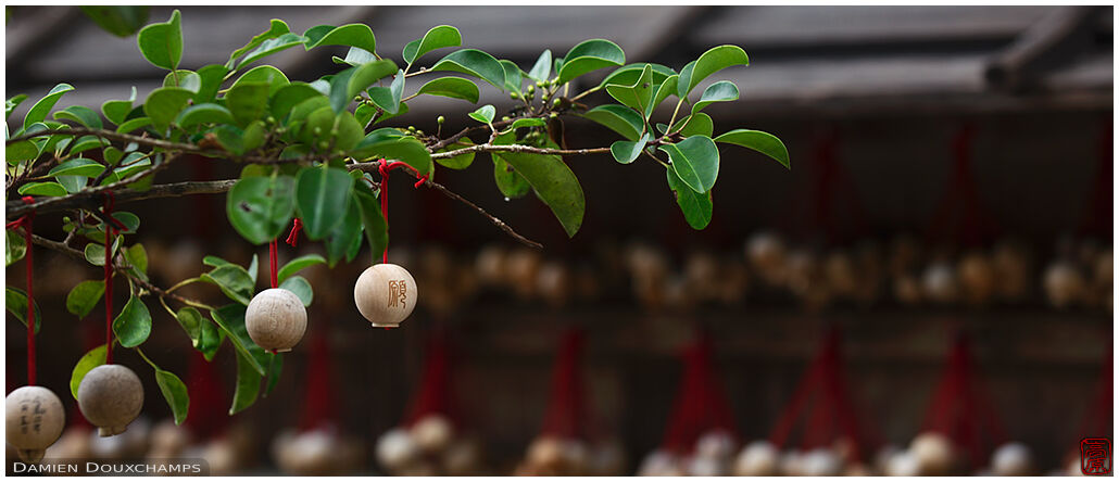 Small votive offerings hung to a tree in Oka-dera temple, Nara, Japan