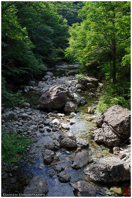 River in the forest of Odaigahara mountain, Mie, Japan