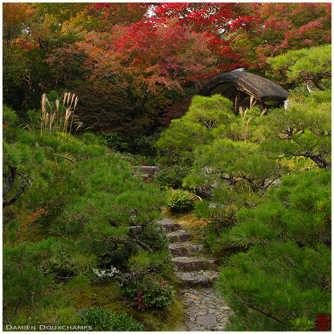 Stairs to little gate in the amazing Okochi Sanso villa gardens, Kyoto, Japan