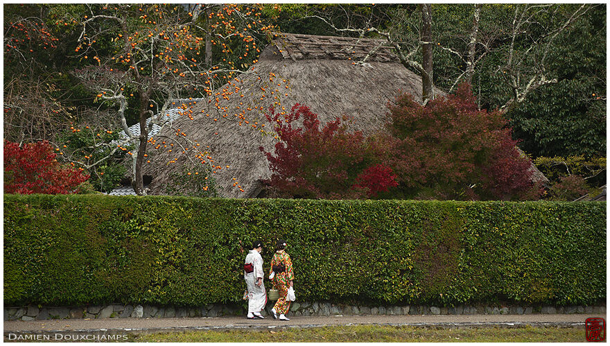 Women in kimono in front of the Rakushisha hermitage, Kyoto, Japan