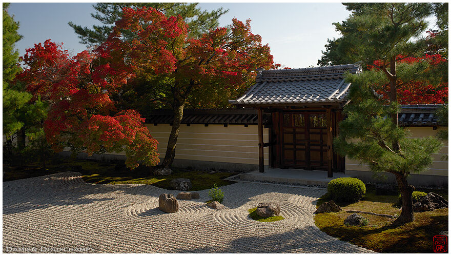 Sunny autumn day in the rock garden of Toji-in temple, Kyoto, Japan