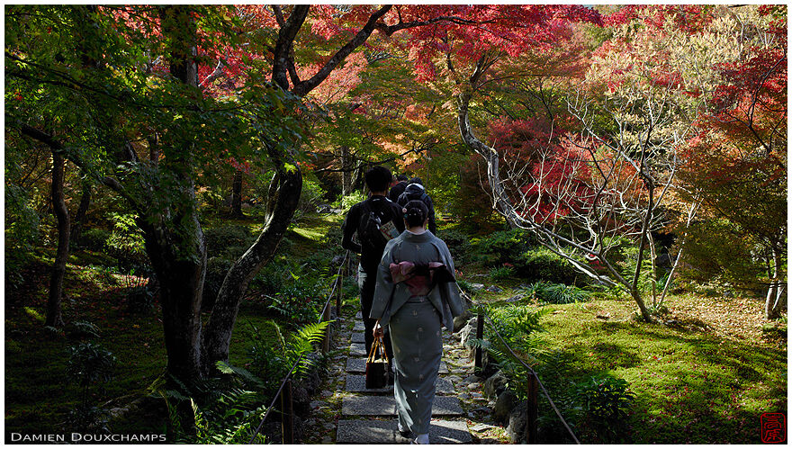 Lady in kimono walking in the garden of Kokyo-in temple on a sunny autumn day, Kyoto, Japan