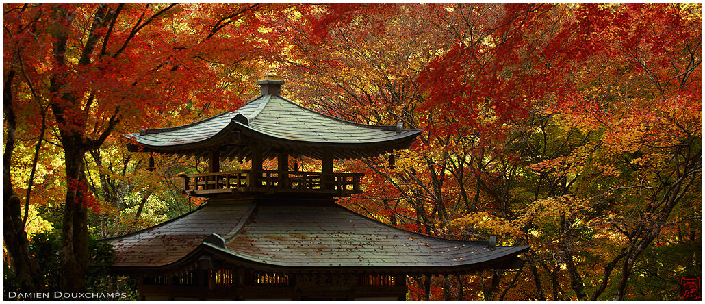 Dark hall amidst autumn colors, Otagi Nenbutsuji, Kyoto, Japan