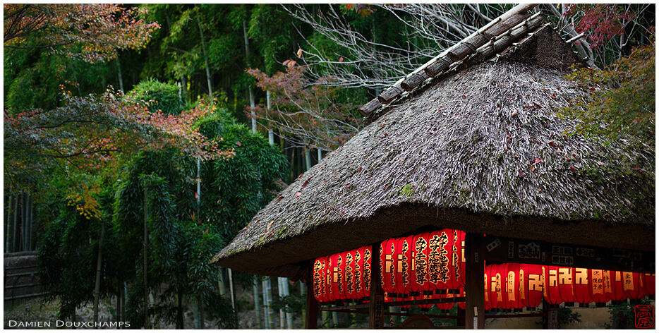 Thatched roof pavilion with red paper lanterns in Adashino Nenbutsu-ji temple, Kyoto, Japan