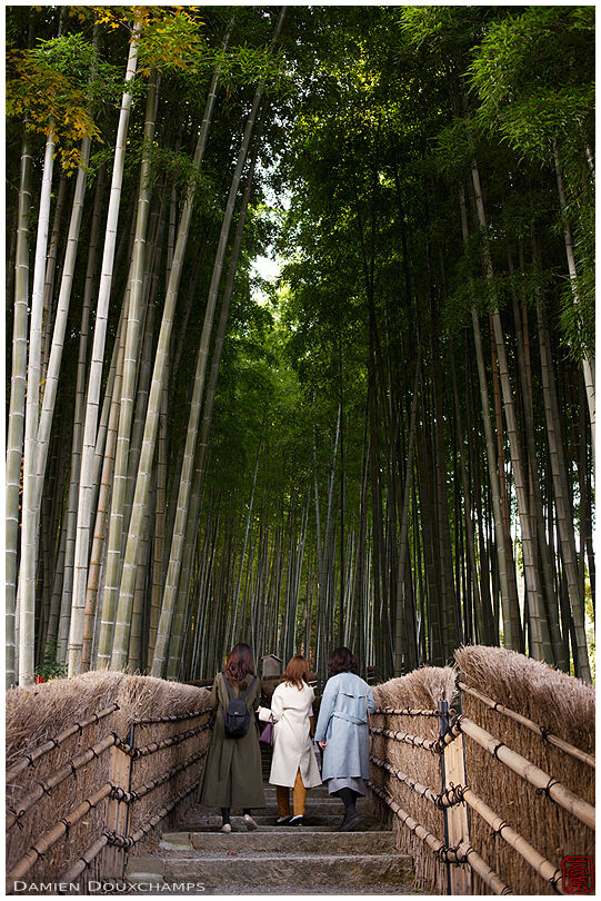 Three women on a path climbing through bamboo forest, Adashino Nenbutsuji temple, Kyoto, Japan