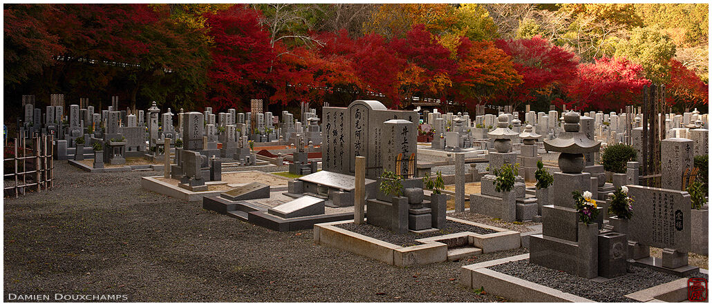 Autumn colours around the cemetery of Adashino Nenbutsu-ji temple, Kyoto, Japan