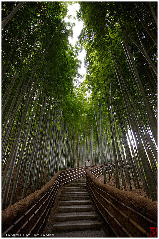 Stairway across bamboo forest, Adashino Nenbutsu-ji temple, Kyoto, Japan