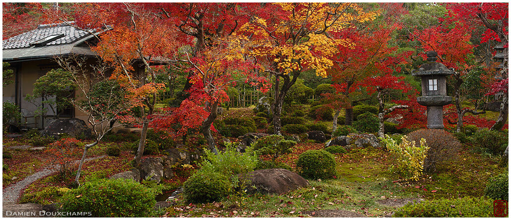 Stone lantern and tea house in the autumn garden of Dainei-kei temple, Kyoto, Japan
