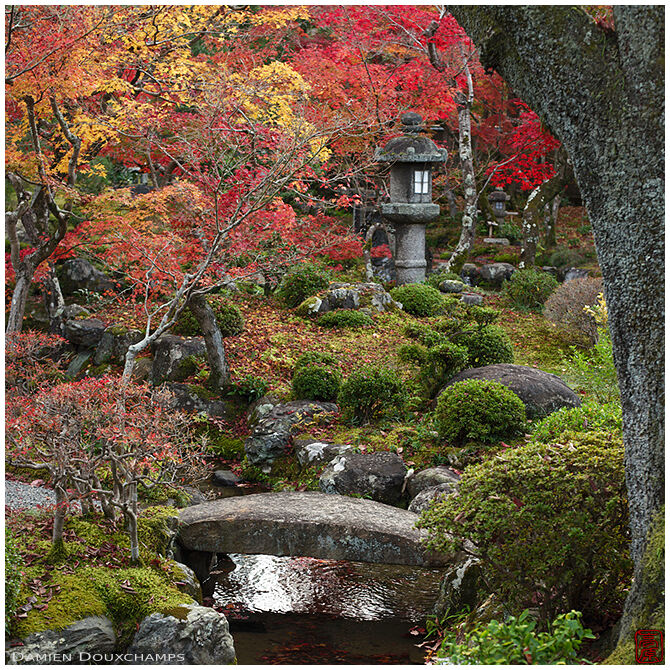 Stone bridge and lantern amidst autumn colours in Dainei-ken temple, Kyoto, Japan