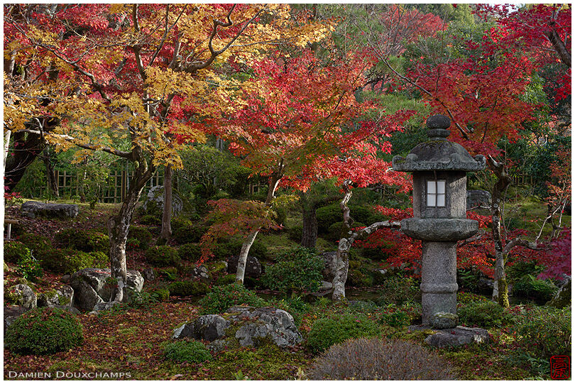 Large stone lantern and autumn colours in Dainei-ken temple, Kyoto, Japan