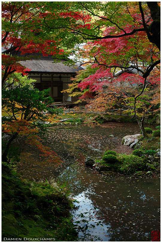 Autumn colors in a darker corner of the Nanzen-in pond garden, Kyoto, Japan