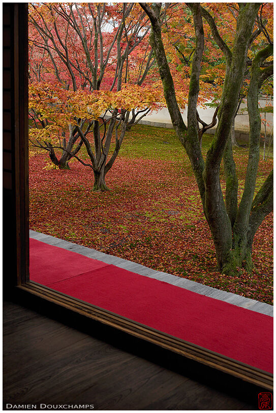 Two red carpets in Myokaku-ji temple, Kyoto, Japan