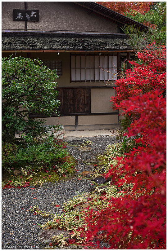 Red bushes around a tea house of Koetsuji temple, Kyoto, Japan