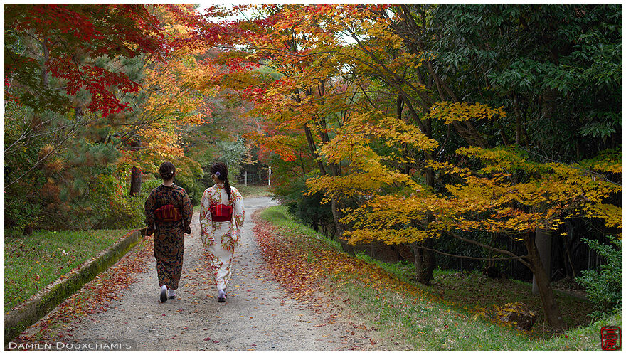 Two ladies in kimono walking in the garden of Shodensan-so, Kyoto, Japan