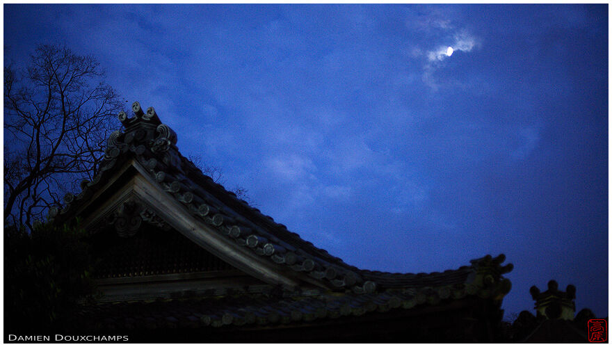 Blue hour with moonlit old roof lines, Yasaka shrine, Kyoto, Japan