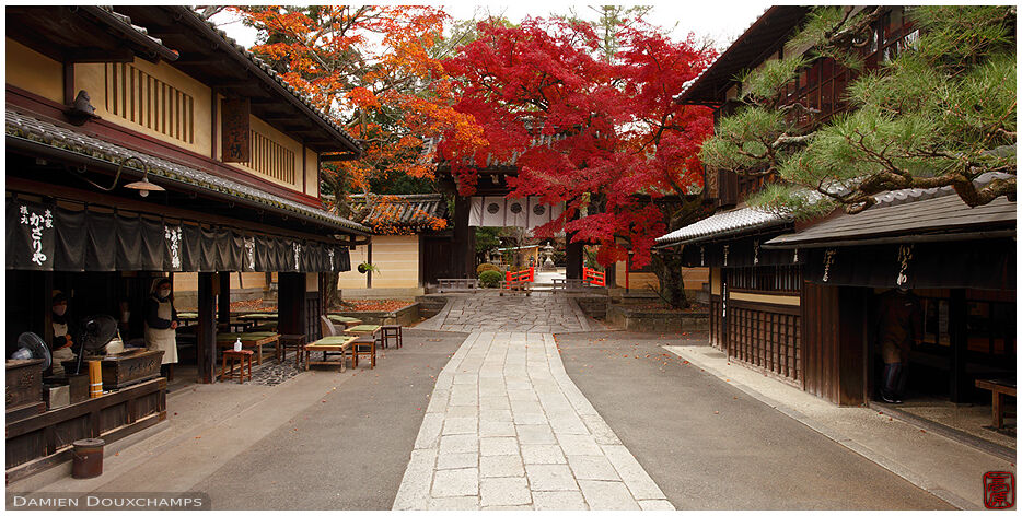Old traditional shops flanking the entrance of Imamiya shrine, Kyoto, Japan