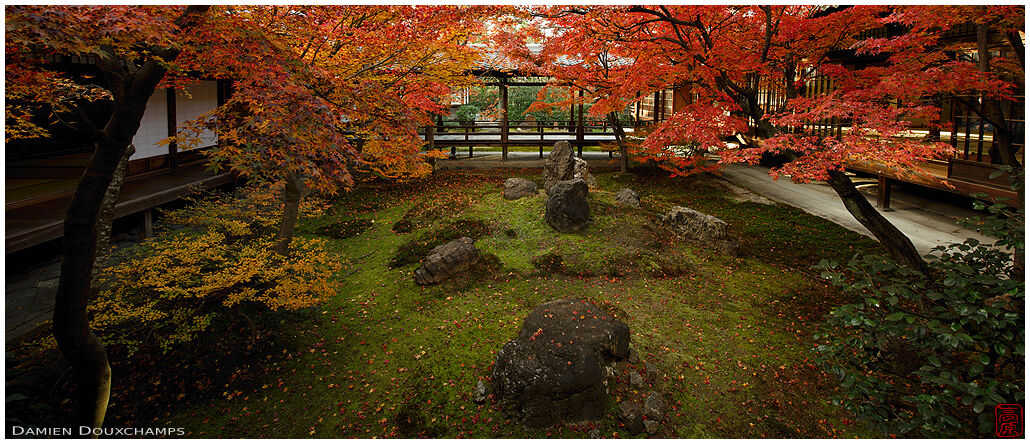 Moss garden with autumn colours, Kennin-ji temple, Kyoto, Japan