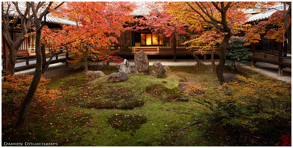 Late autumn and fallen leaves on the inner garden of Kennin-ji temple, Kyoto, Japan