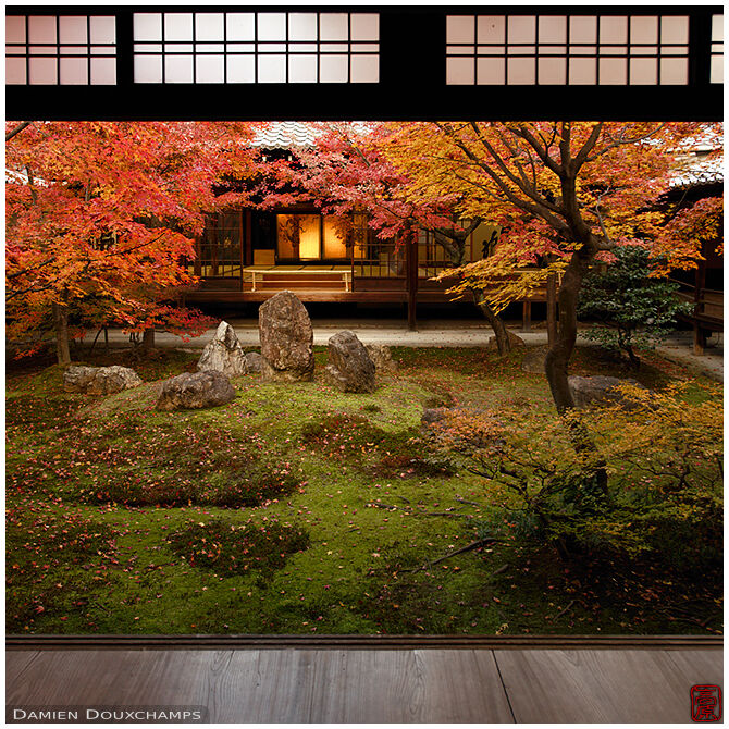 Last light and late autumn colours on the inner garden of Kennin-ji temple, Kyoto, Japan