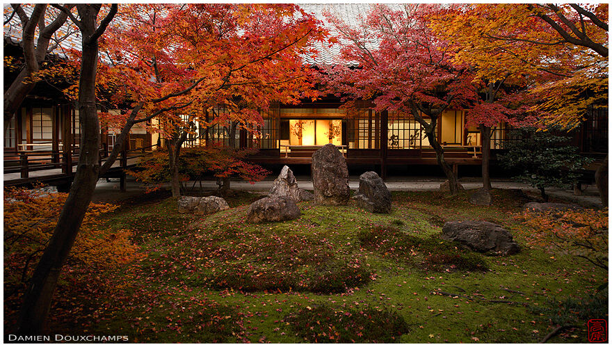 Golden room and last light on the inner moss garden of Kennin-ji temple in autumn, Kyoto, Japan