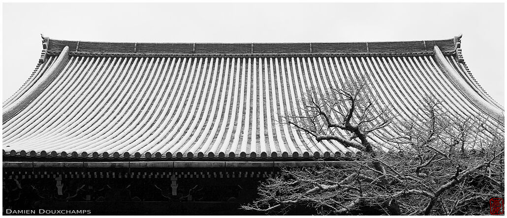 Temple roof in winter, Shinyodo, Kyoto, Japan