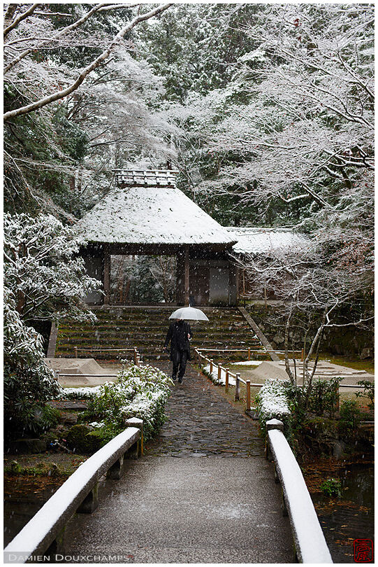 Braving the snow in Hōnen-in temple, Kyoto, Japan