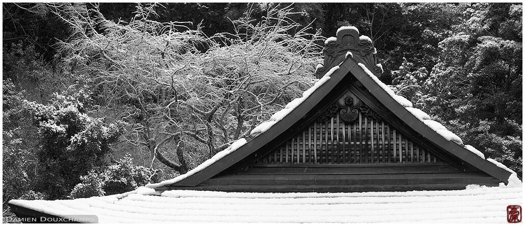 Snow on Otoyo-jinja shrine, Kyoto, Japan