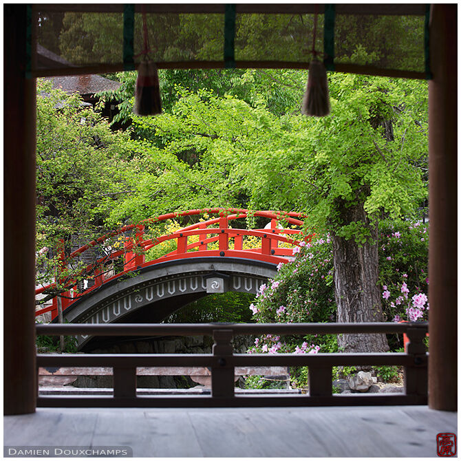 The little round and red bridge of Shimogamo shrine during tsutsuji rhododendron season, Kyoto, Japan