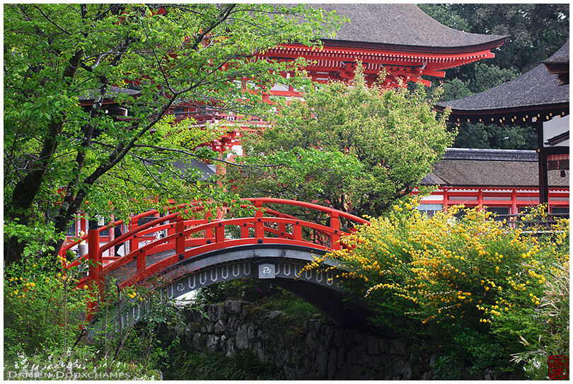 The red bridge of Shimogamo shrine, Kyoto, Japan