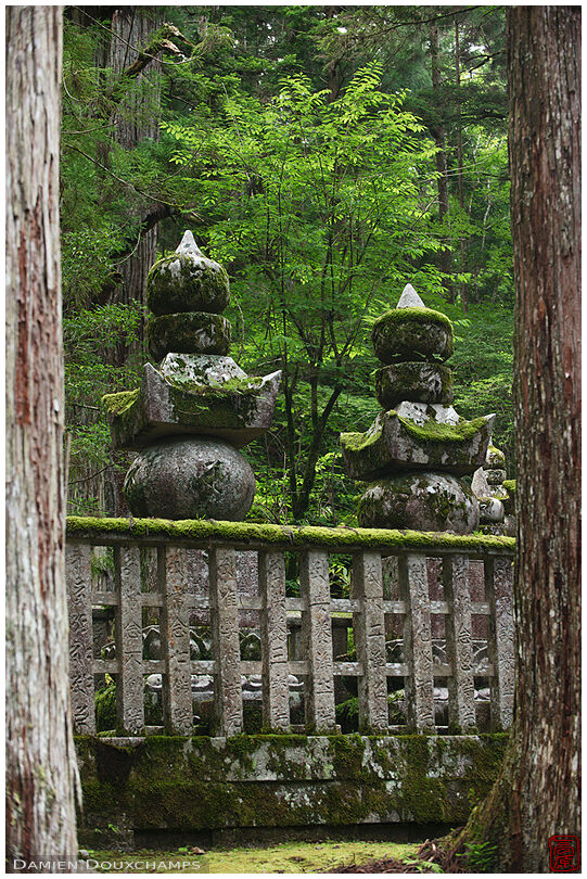 Centuries-old graves covered with moss in the Okunoin forest cemetery, Koyasan, Japan