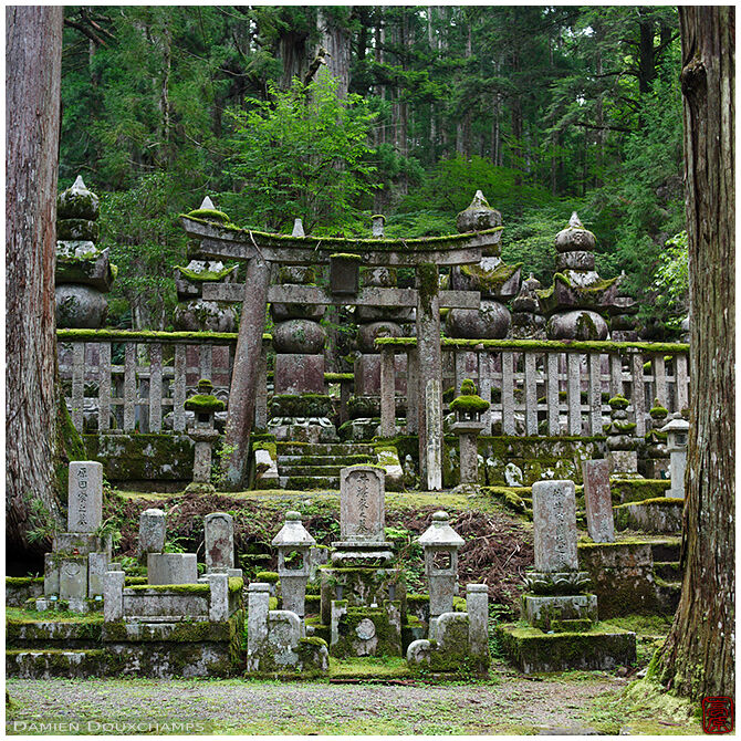 Moss-covered graves in the Okunoin forest cemetery of Koyasan, Japan