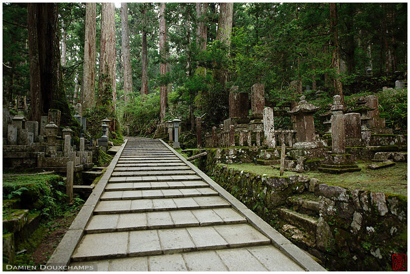 Path in the forest cemetery of Okunoin, Koyasan, Japan