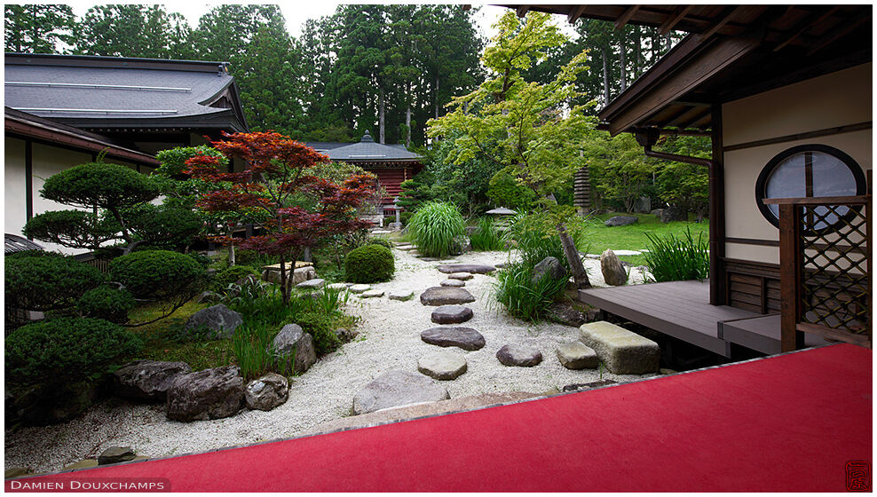 Stroll garden with large stepping stones and ever-red maple tree in Joki-in temple, Koyasan, Japan