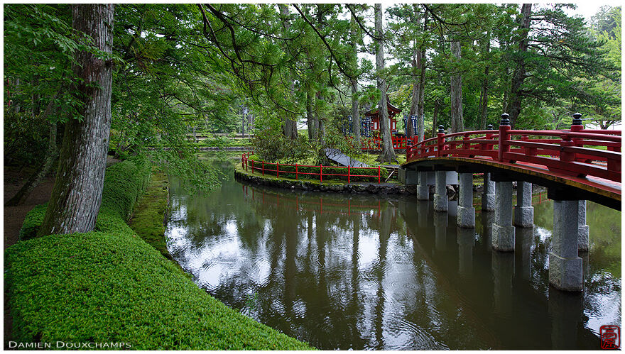Red bridge over pond in green forest near Danjogaran in Koyasan, Wakayama, Japan